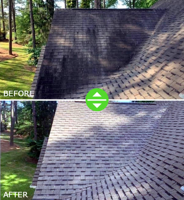 Roof Soft Cleaning Services Garner & Raleigh NC